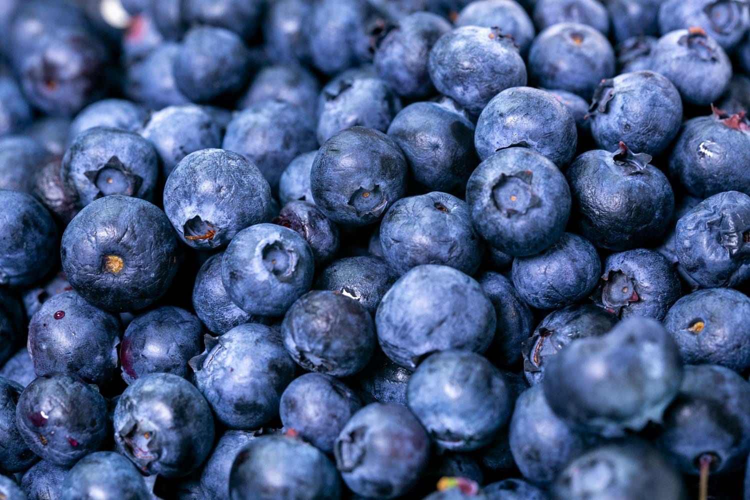 Navigating Hashimoto’s and Inflammation: How Personalized Diet Can Make a Difference