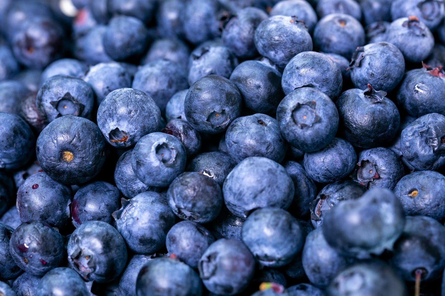 Understanding Low FODMAP Foods: Your Guide to Better Digestive Health and Weight Management